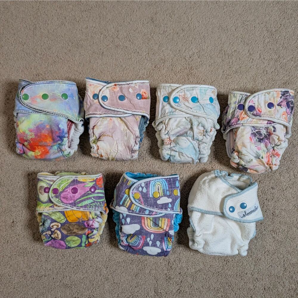 Lilly & Frank Fitted Diaper Lot (OS)